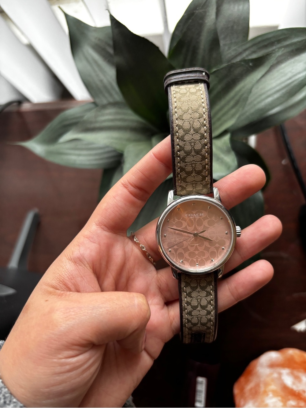 COACH Brown Signature Canvas Strap Watch with Pink Logo Dial